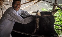 Gościna w sercu Azji